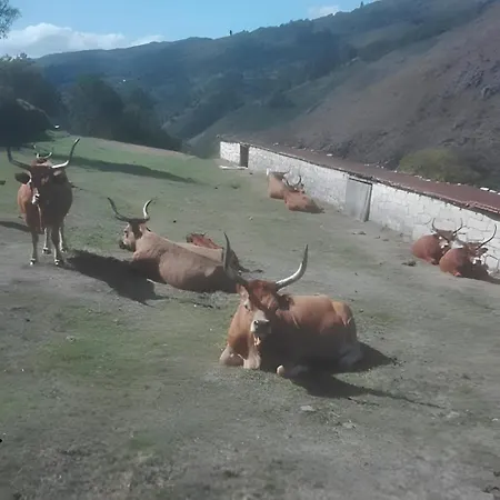 Ferienhaus No Geres Carvalheira